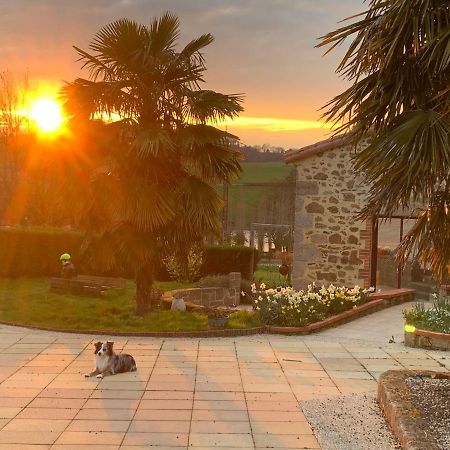 La Basse Monniere Bed & Breakfast Sevremont Dış mekan fotoğraf