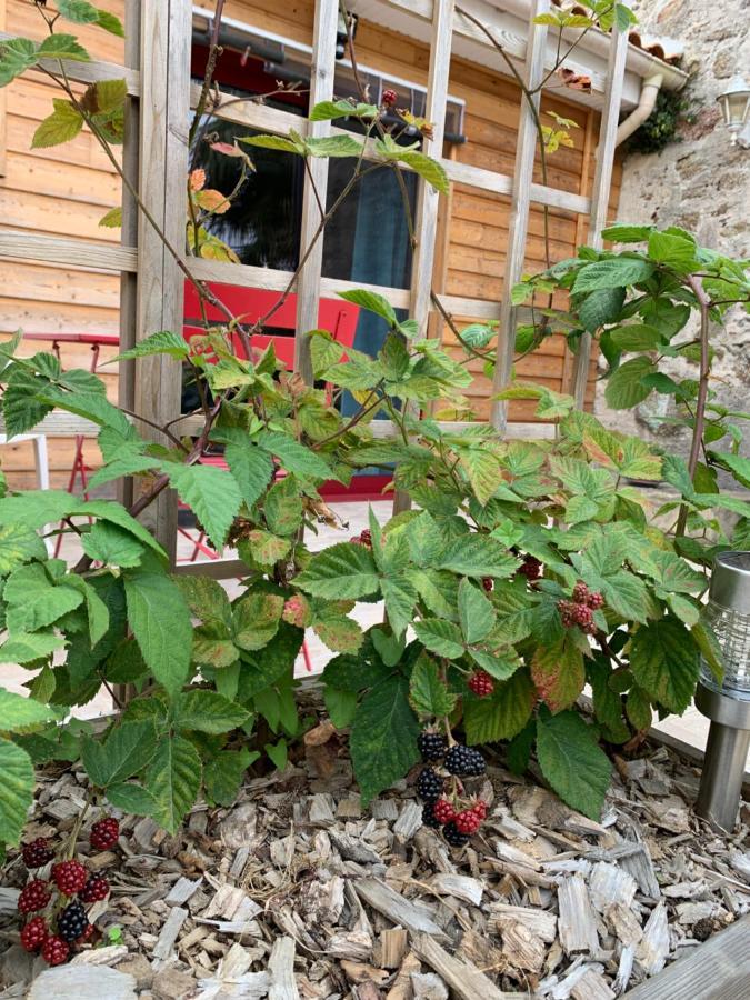 La Basse Monniere Bed & Breakfast Sevremont Dış mekan fotoğraf