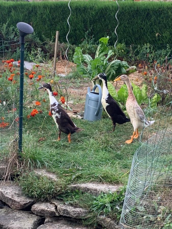 La Basse Monniere Bed & Breakfast Sevremont Dış mekan fotoğraf