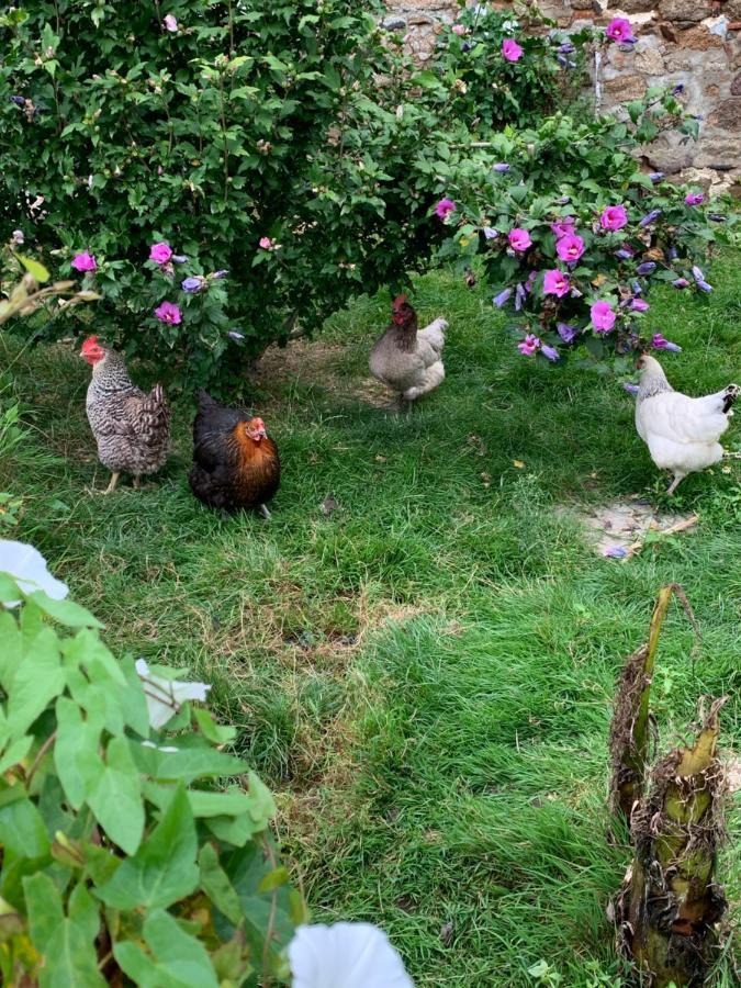 La Basse Monniere Bed & Breakfast Sevremont Dış mekan fotoğraf