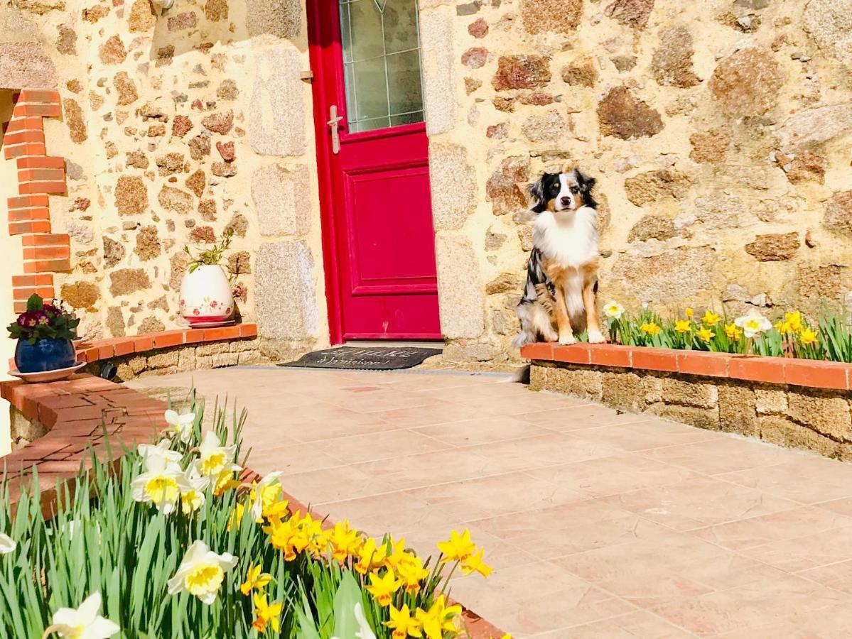 La Basse Monniere Bed & Breakfast Sevremont Dış mekan fotoğraf